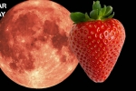 Strawberry Full Moon June 17, 2019 - Preview