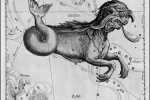 Who are the whales in ASTROLOGY? - Vista previa
