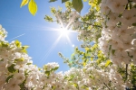 In 2023, the spring equinox will occur on March 21st. - Vista previa